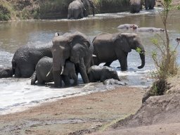 Western_Corridor2009-29